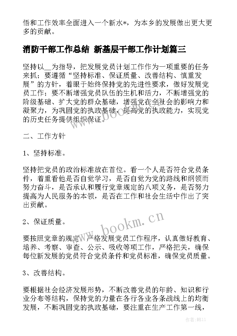 消防干部工作总结 新基层干部工作计划