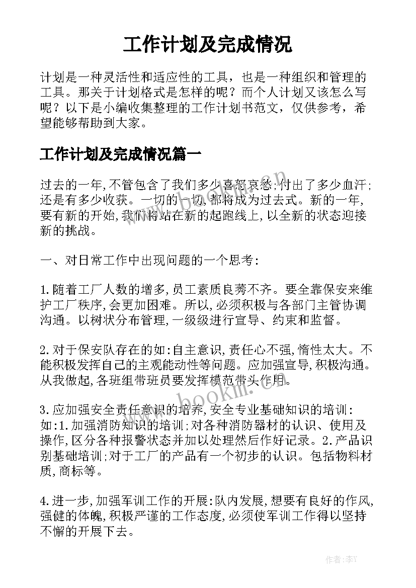 工作计划及完成情况