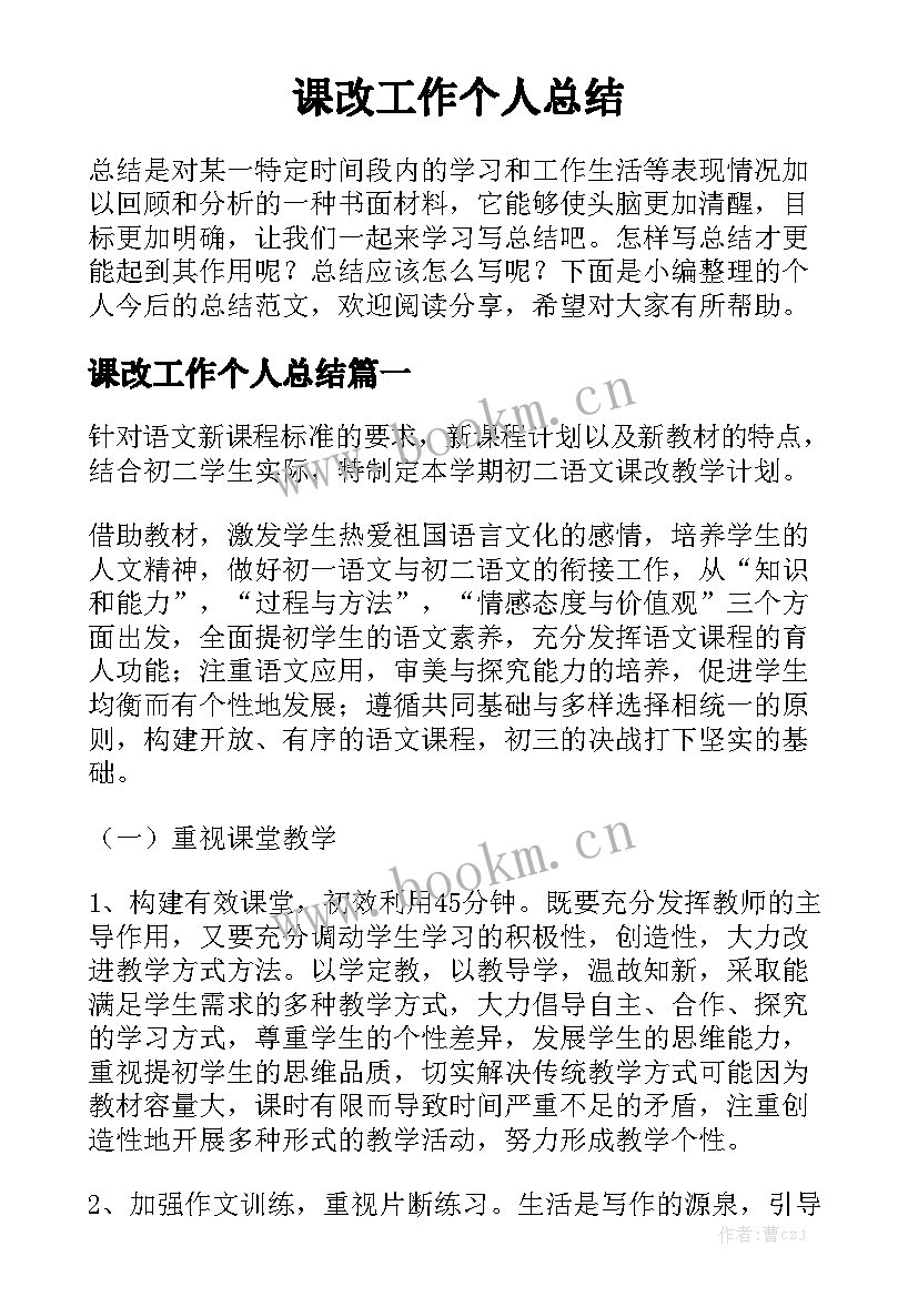 课改工作个人总结