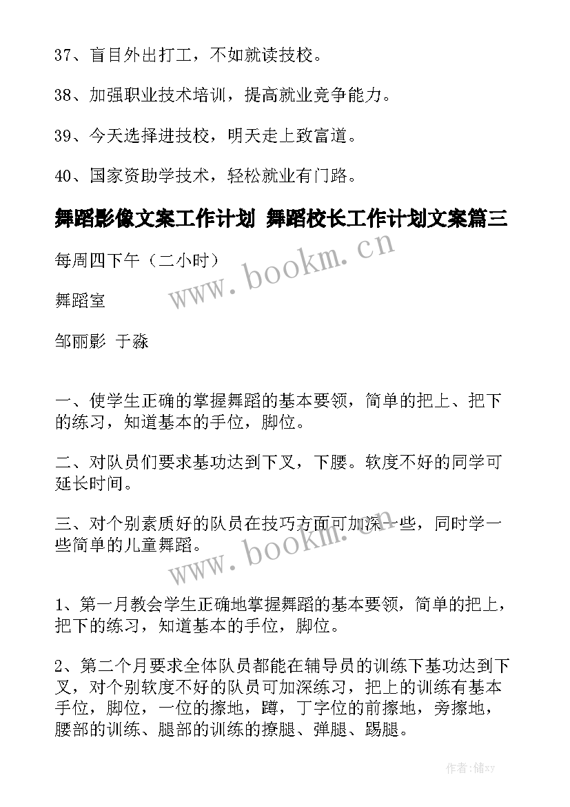 舞蹈影像文案工作计划 舞蹈校长工作计划文案