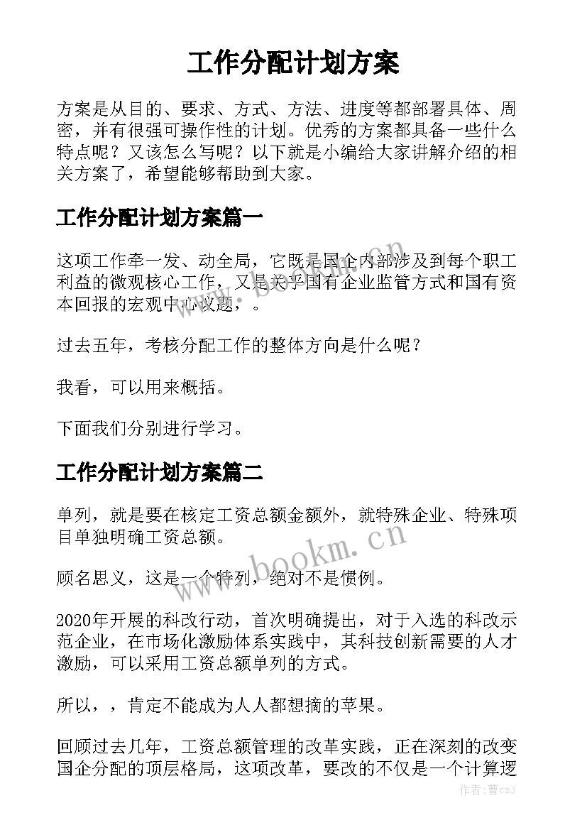 工作分配计划方案