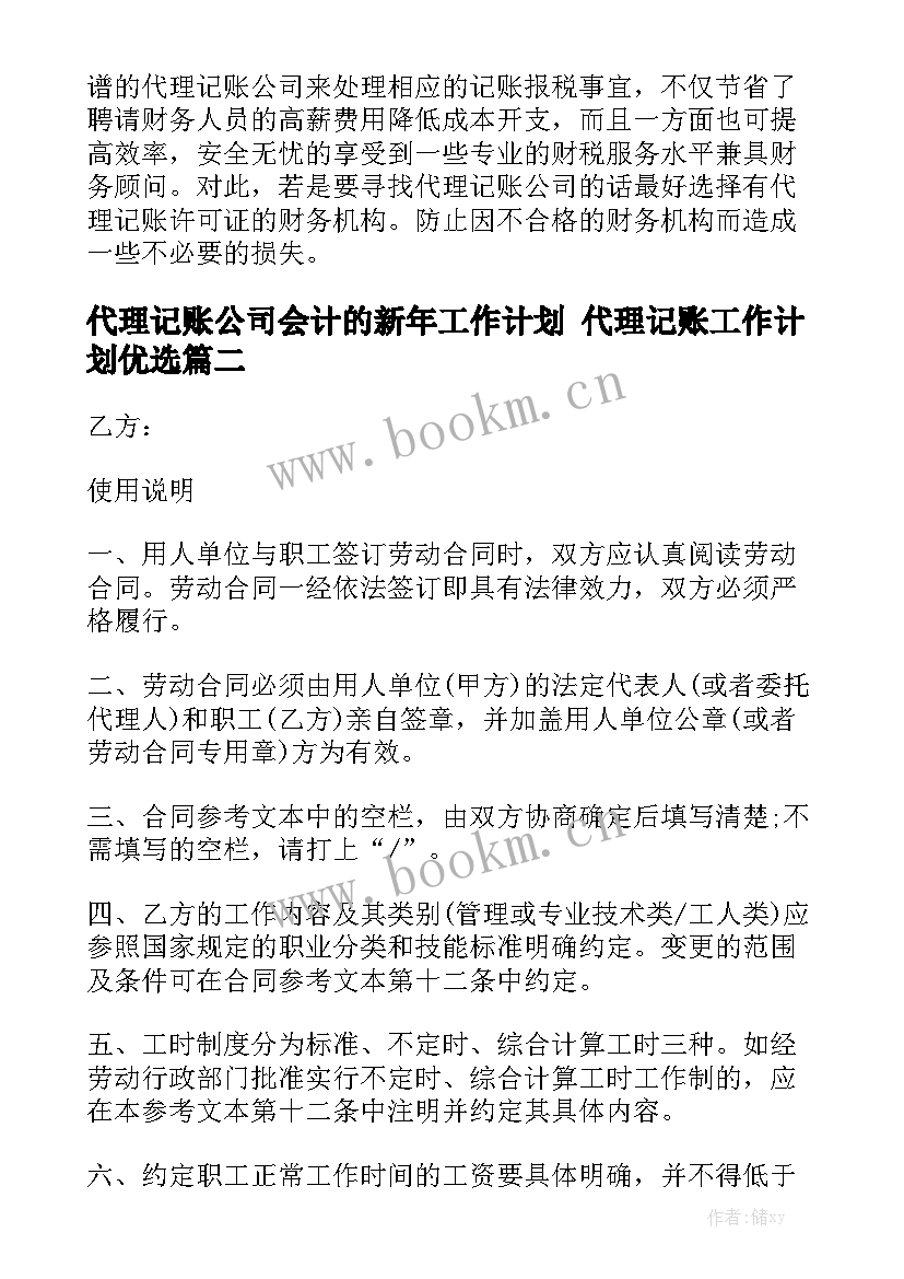 代理记账公司会计的新年工作计划 代理记账工作计划优选