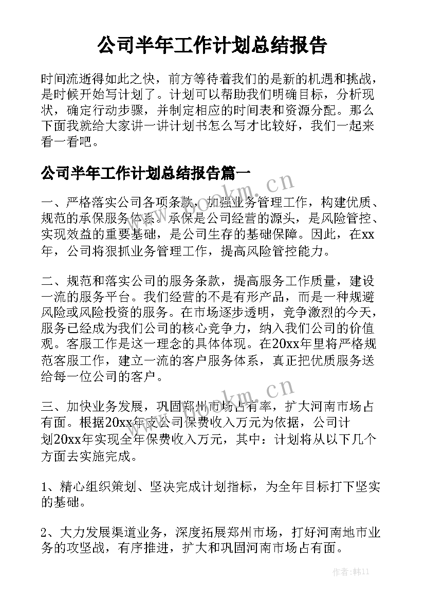 公司半年工作计划总结报告