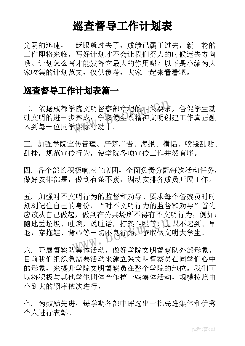 巡查督导工作计划表