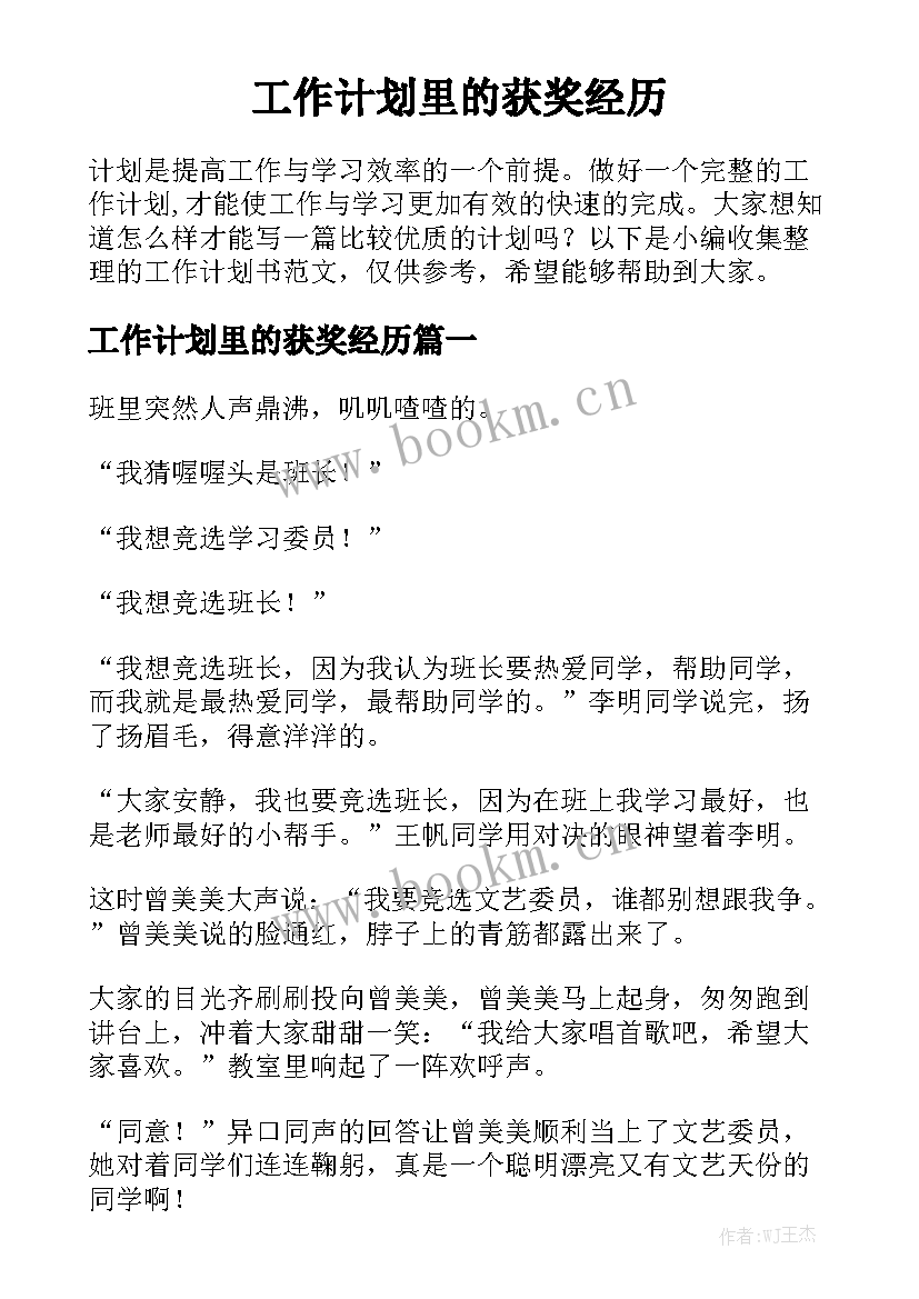 工作计划里的获奖经历