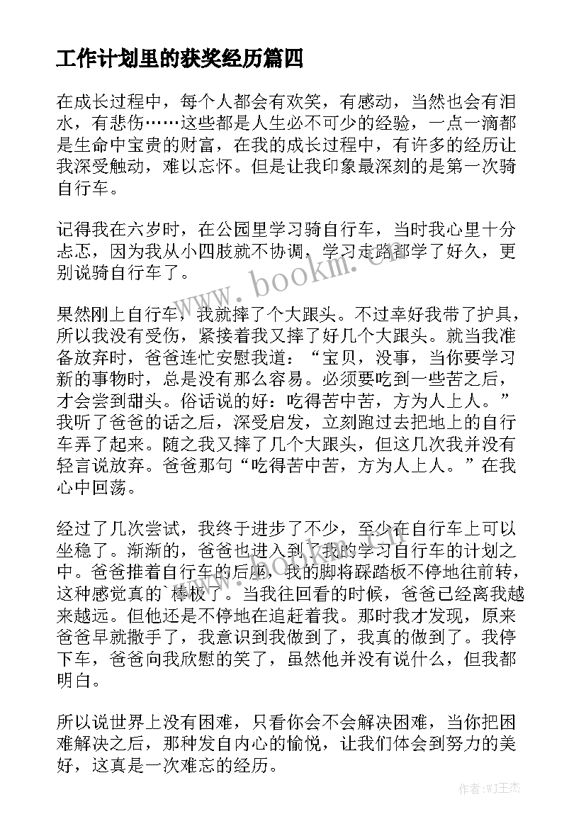 工作计划里的获奖经历