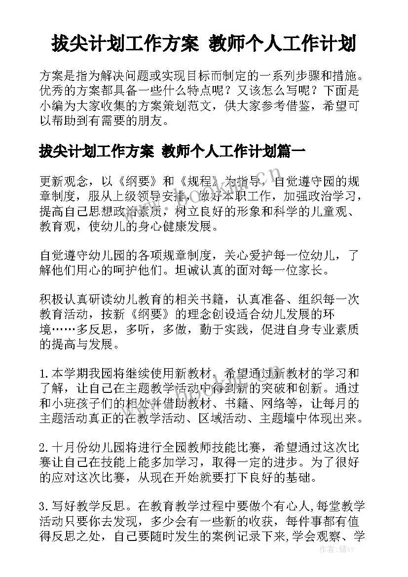 拔尖计划工作方案 教师个人工作计划