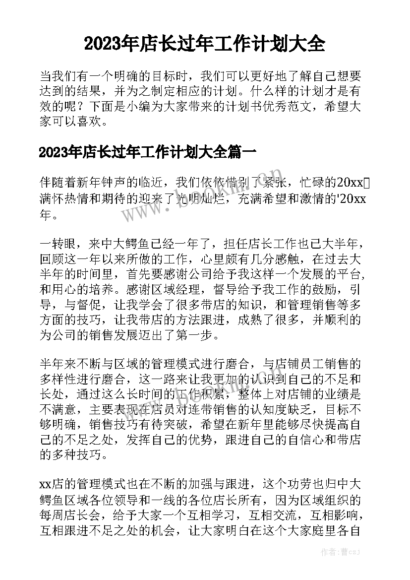 2023年店长过年工作计划大全