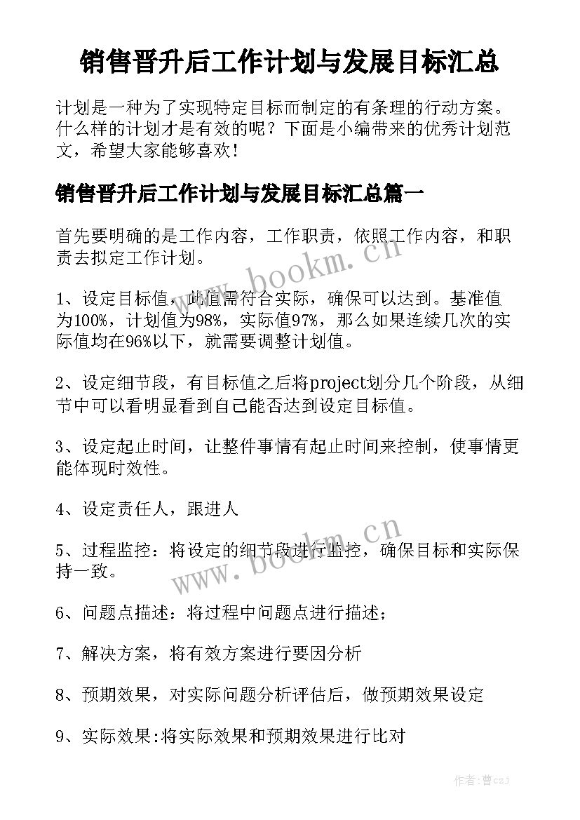 销售晋升后工作计划与发展目标汇总