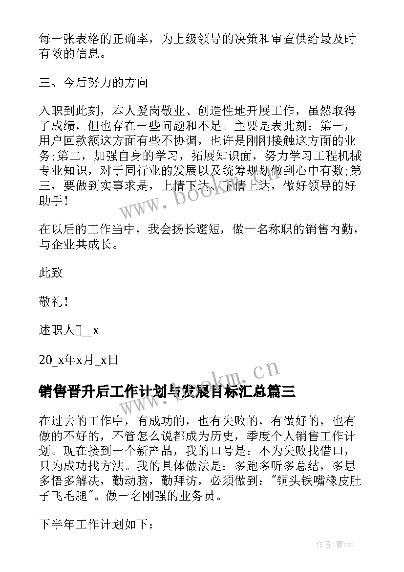 销售晋升后工作计划与发展目标汇总