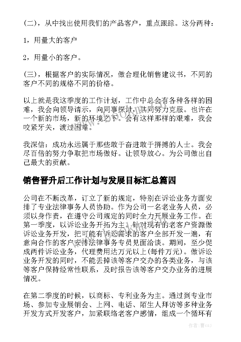 销售晋升后工作计划与发展目标汇总