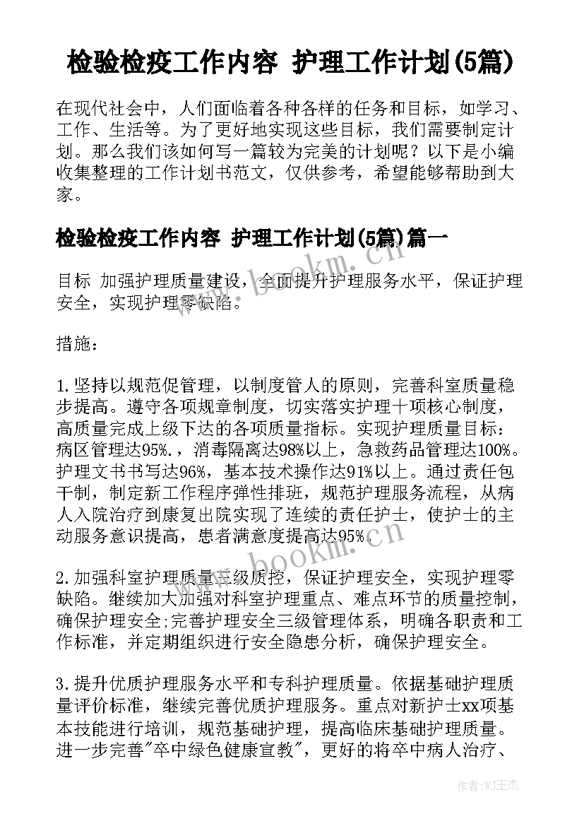 检验检疫工作内容 护理工作计划(5篇)