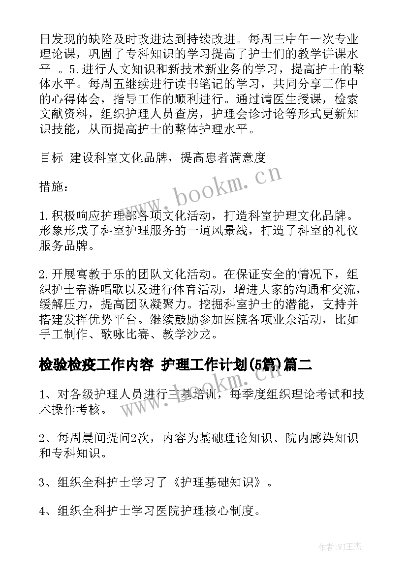 检验检疫工作内容 护理工作计划(5篇)