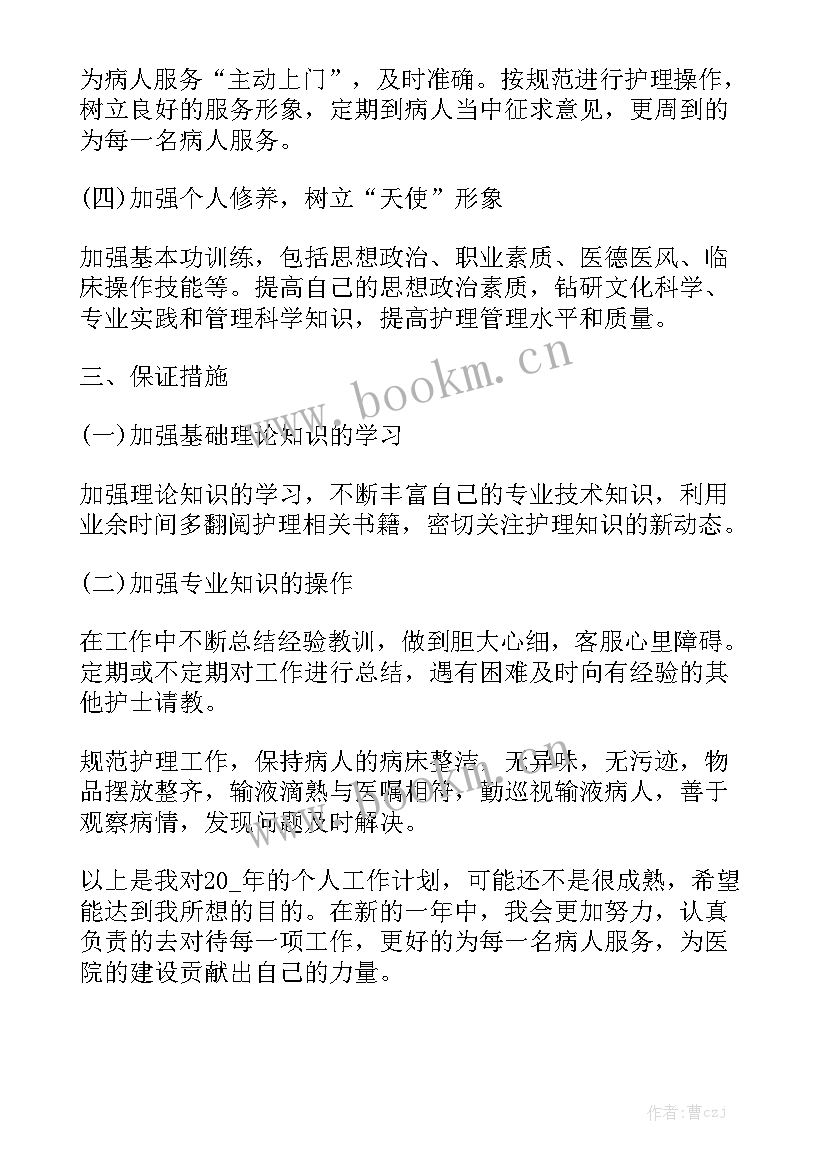 2023年今后的工作计划 护士今后的工作计划简单模板