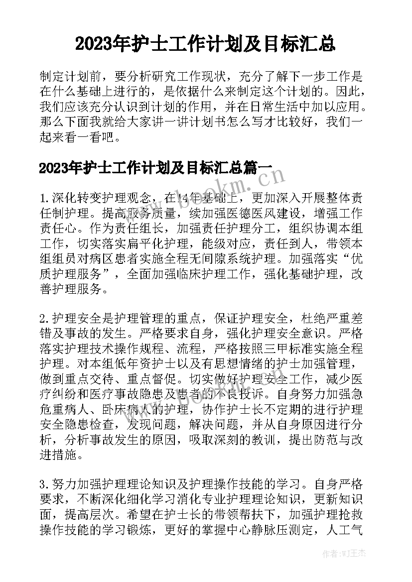 2023年护士工作计划及目标汇总