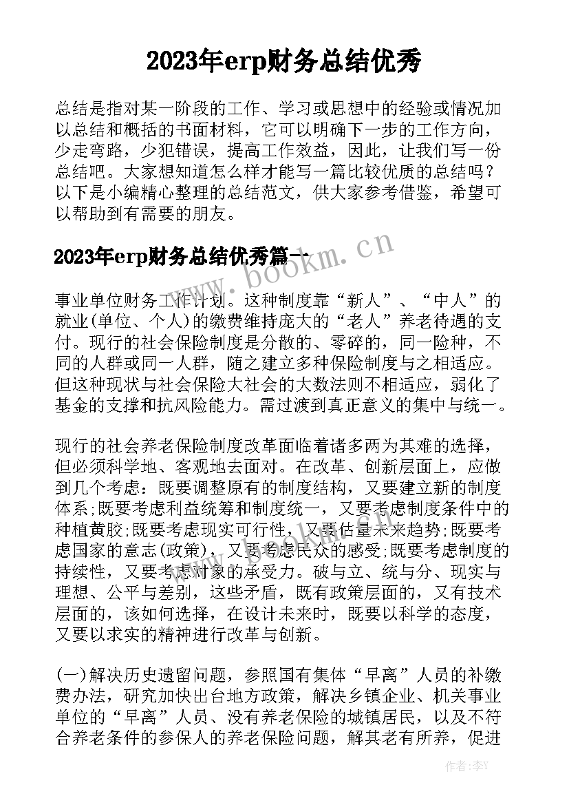 2023年erp财务总结优秀