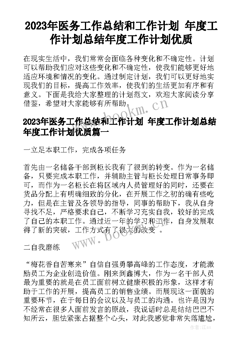 2023年医务工作总结和工作计划 年度工作计划总结年度工作计划优质