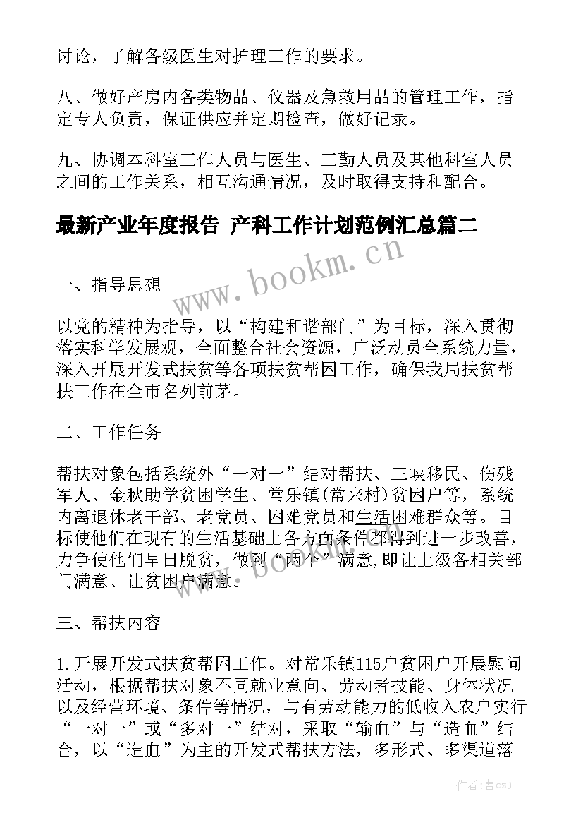 最新产业年度报告 产科工作计划范例汇总