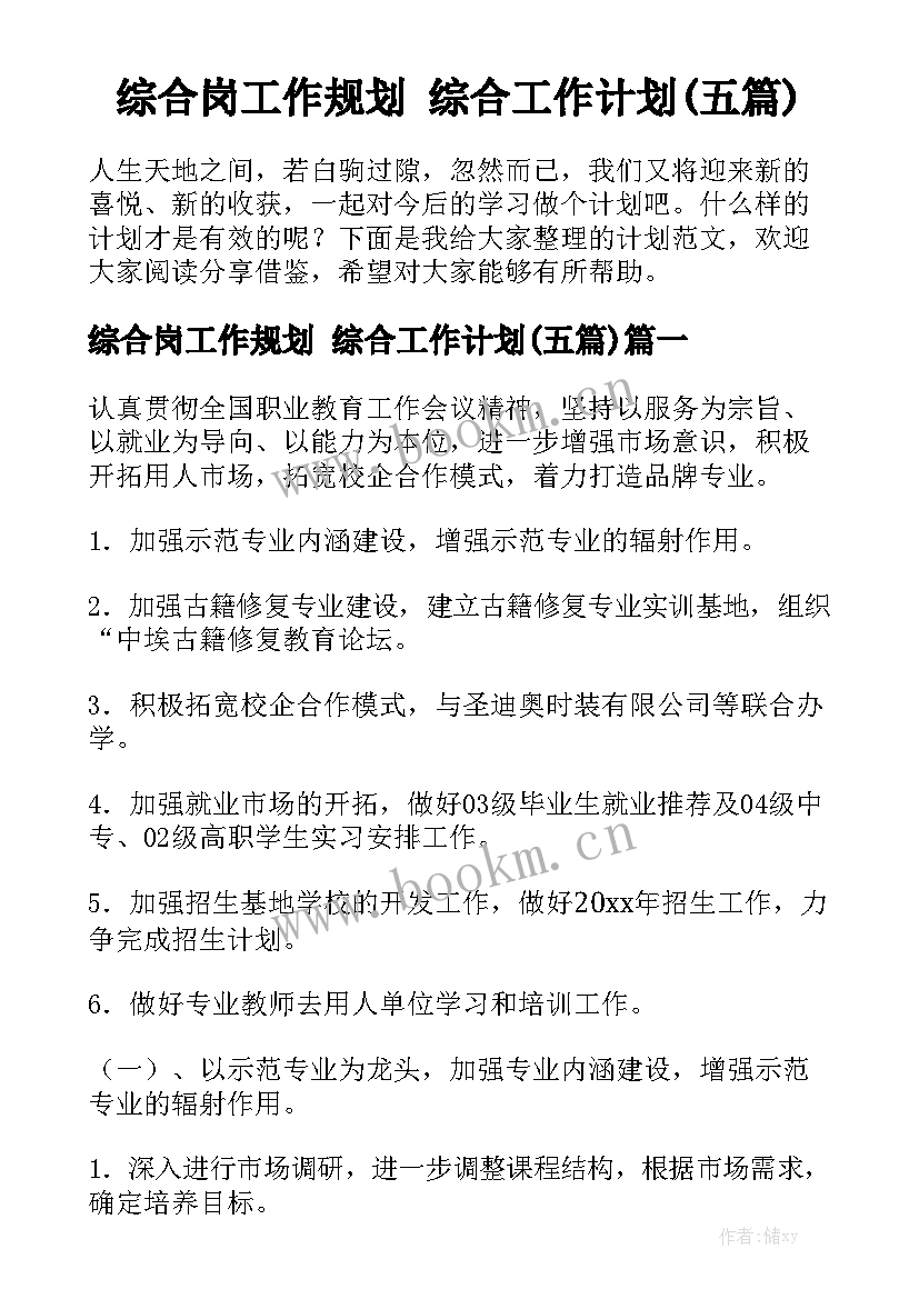 综合岗工作规划 综合工作计划(五篇)