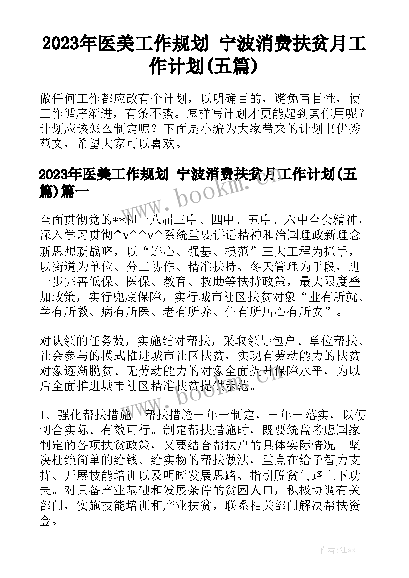 2023年医美工作规划 宁波消费扶贫月工作计划(五篇)