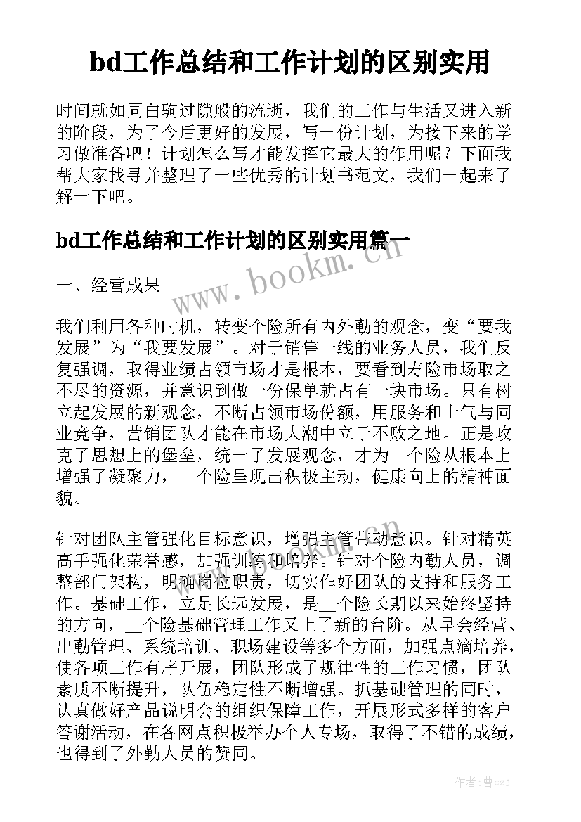 bd工作总结和工作计划的区别实用