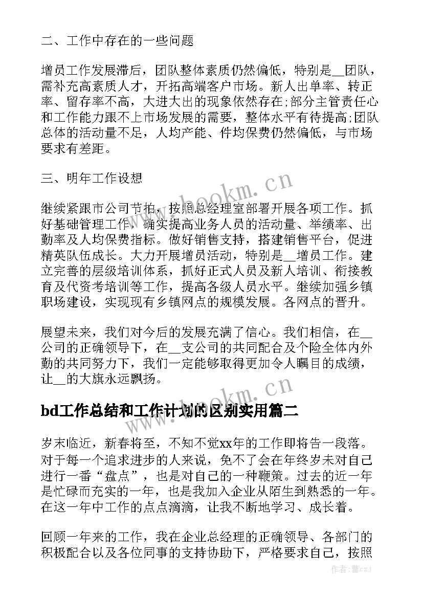 bd工作总结和工作计划的区别实用