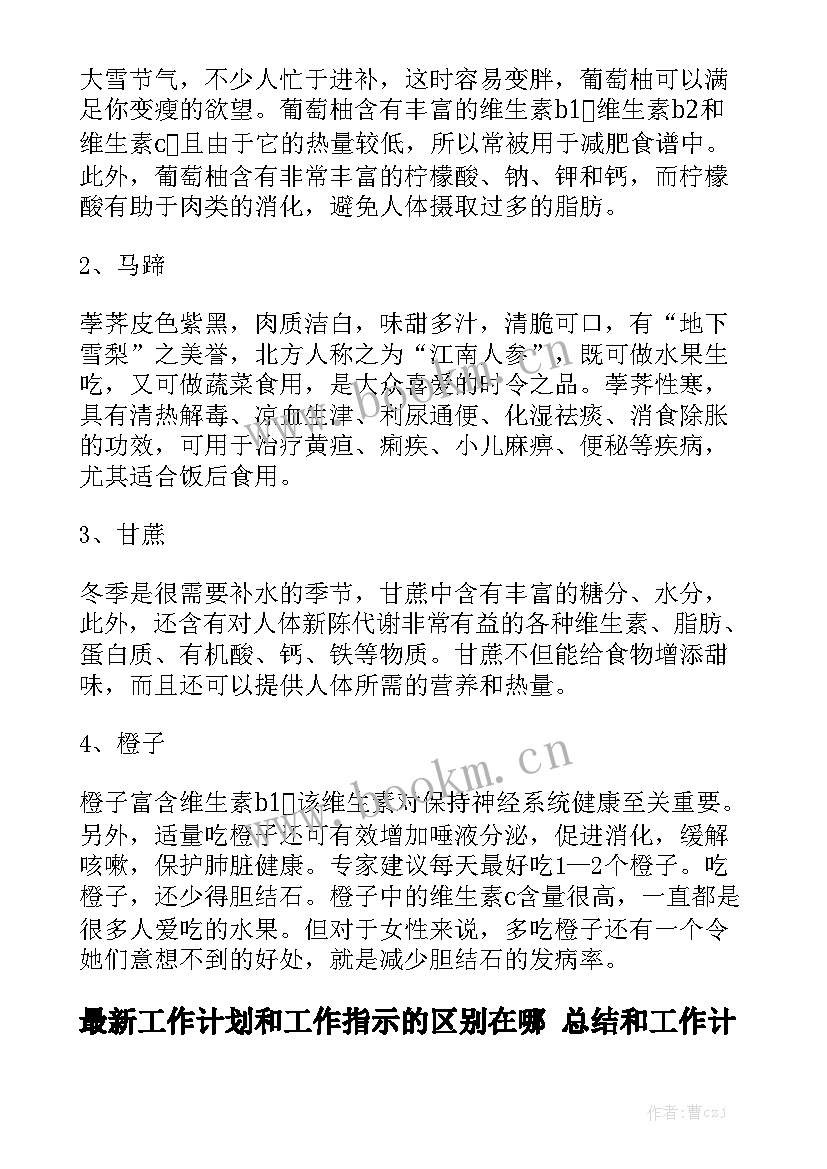 最新工作计划和工作指示的区别在哪 总结和工作计划的区别精选