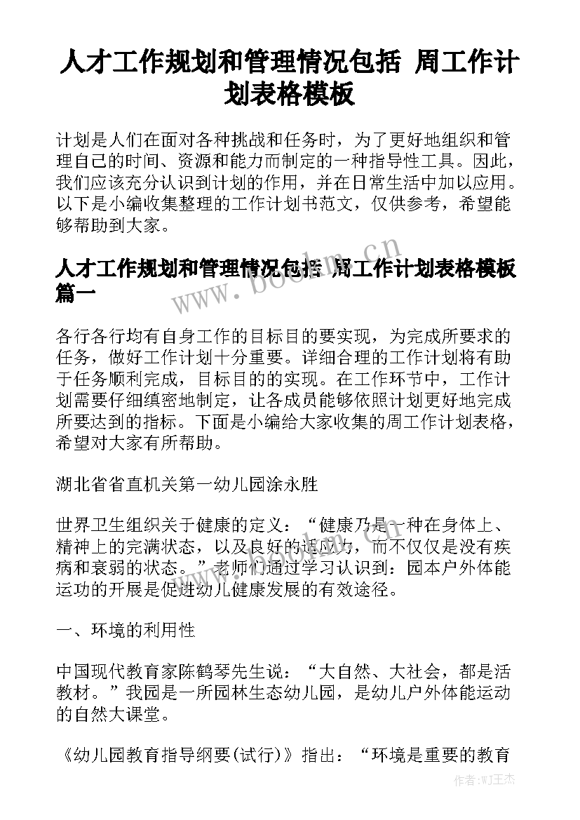 人才工作规划和管理情况包括 周工作计划表格模板