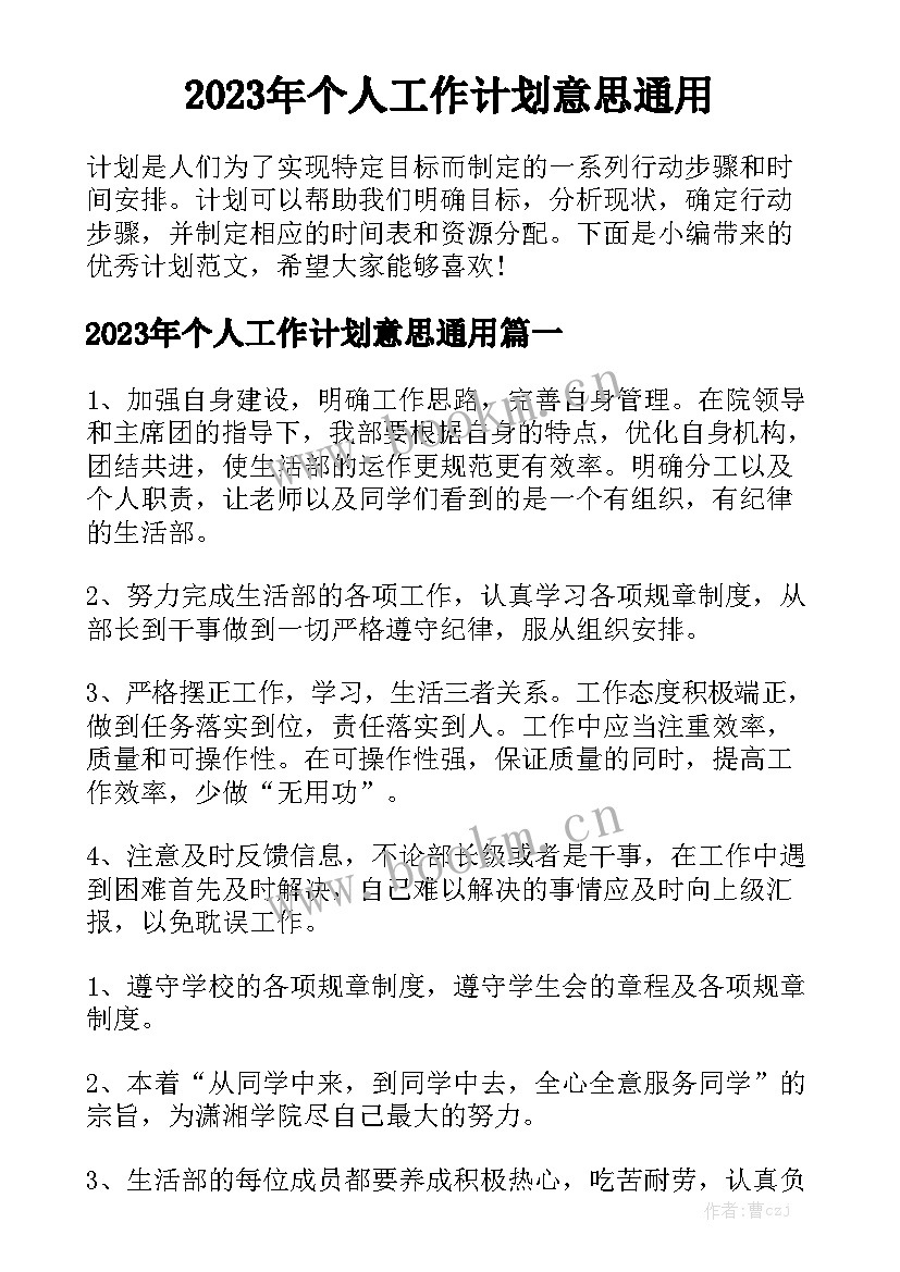 2023年个人工作计划意思通用