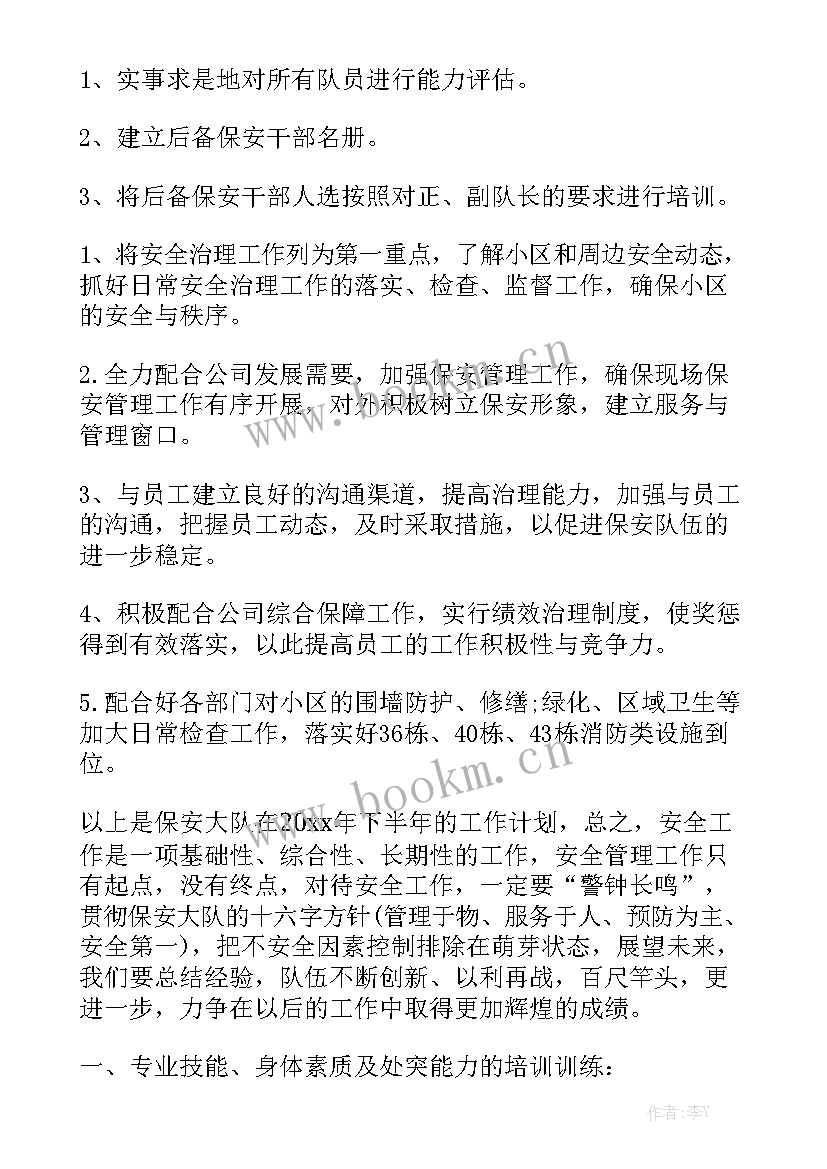 酒吧保安经理工作总结 保安经理工作计划模板