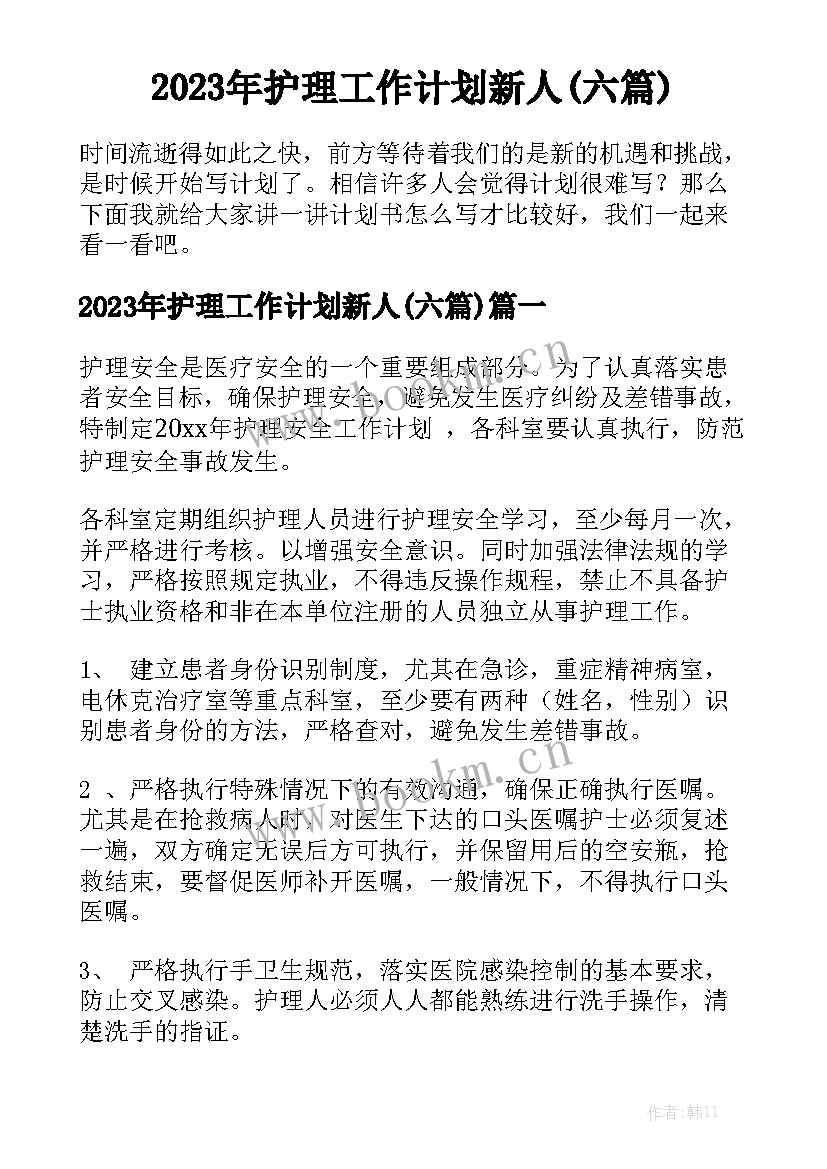 2023年护理工作计划新人(六篇)