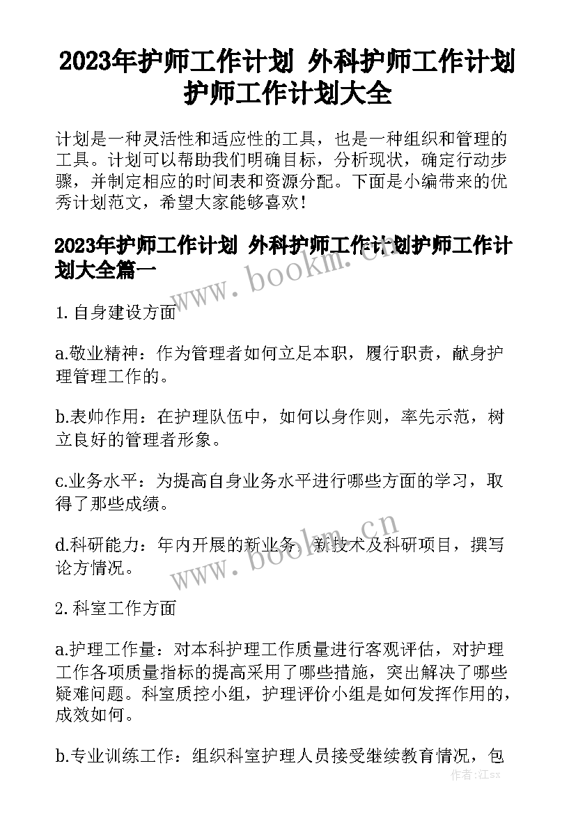 2023年护师工作计划 外科护师工作计划护师工作计划大全