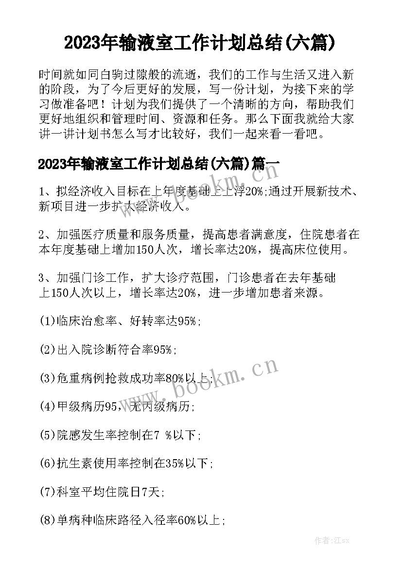 2023年输液室工作计划总结(六篇)