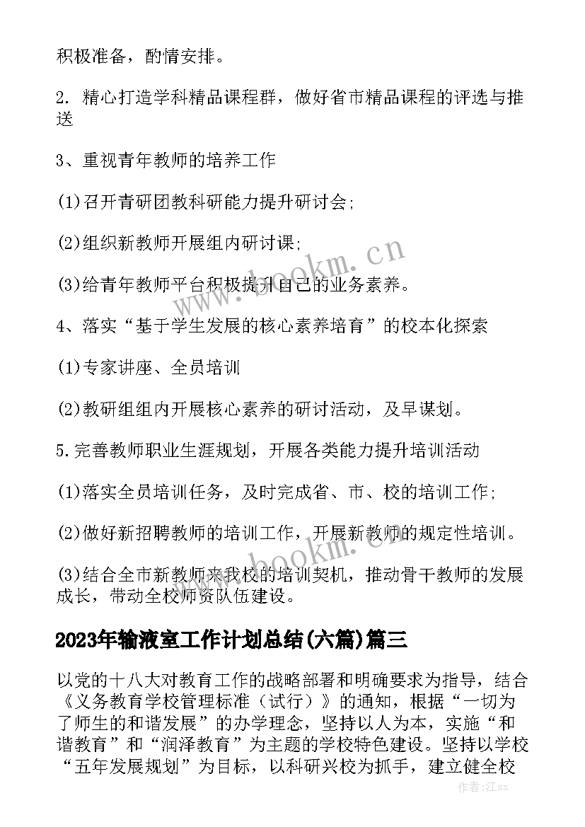 2023年输液室工作计划总结(六篇)