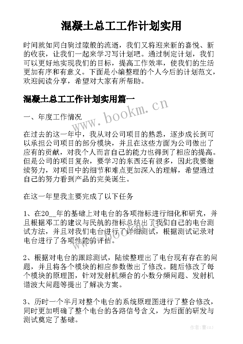 混凝土总工工作计划实用