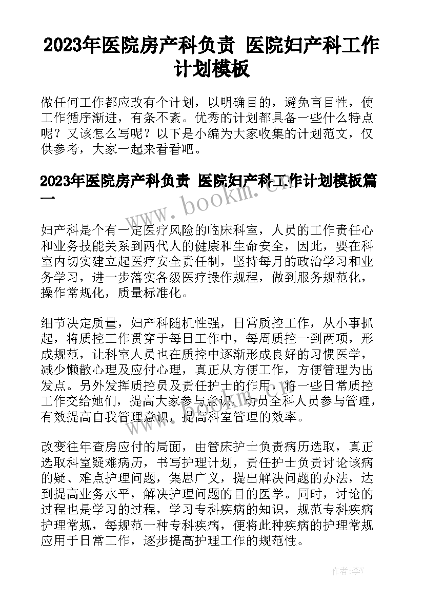 2023年医院房产科负责 医院妇产科工作计划模板