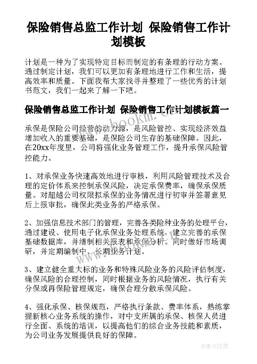 保险销售总监工作计划 保险销售工作计划模板