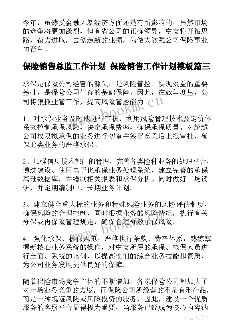 保险销售总监工作计划 保险销售工作计划模板