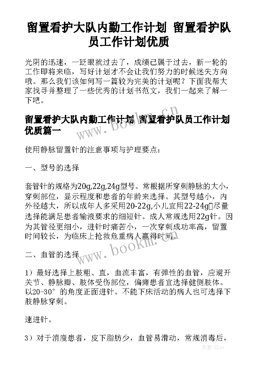 留置看护大队内勤工作计划 留置看护队员工作计划优质