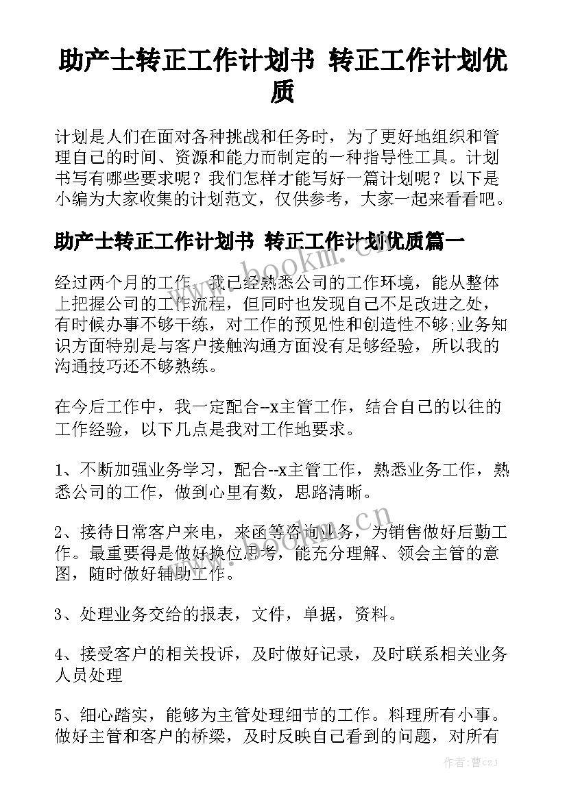 助产士转正工作计划书 转正工作计划优质