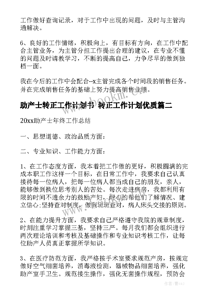 助产士转正工作计划书 转正工作计划优质