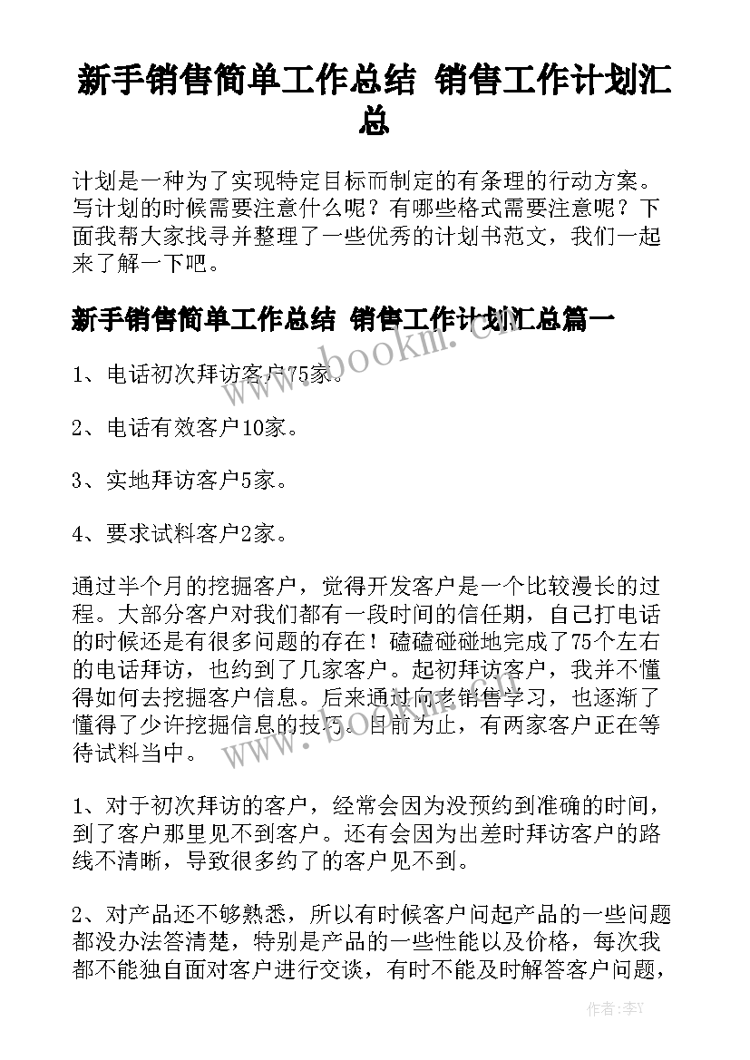 新手销售简单工作总结 销售工作计划汇总