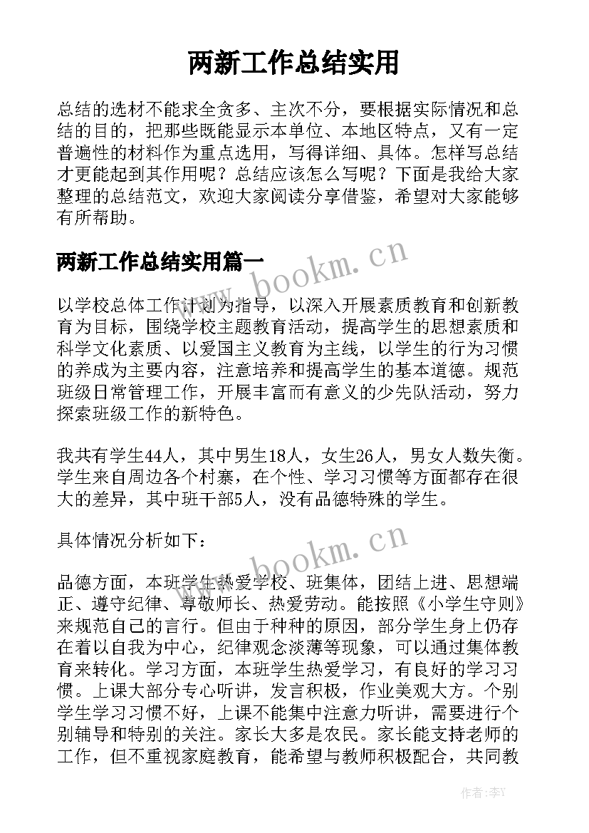 两新工作总结实用