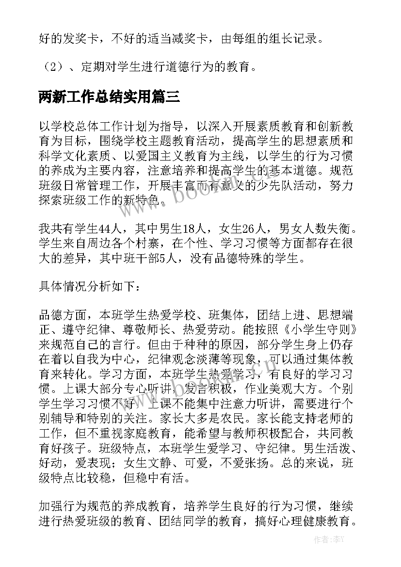 两新工作总结实用