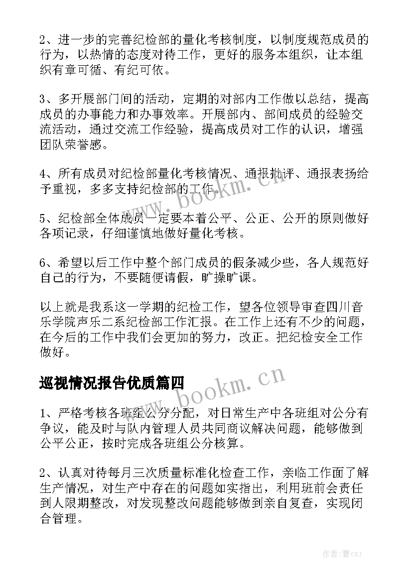 巡视情况报告优质