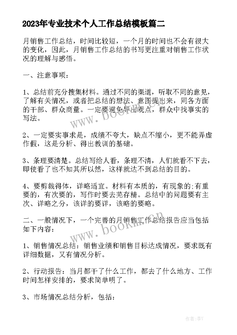 2023年专业技术个人工作总结模板