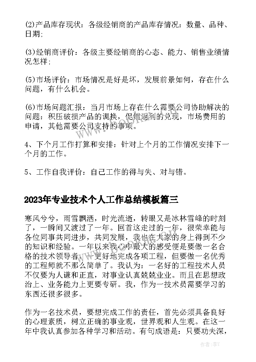 2023年专业技术个人工作总结模板