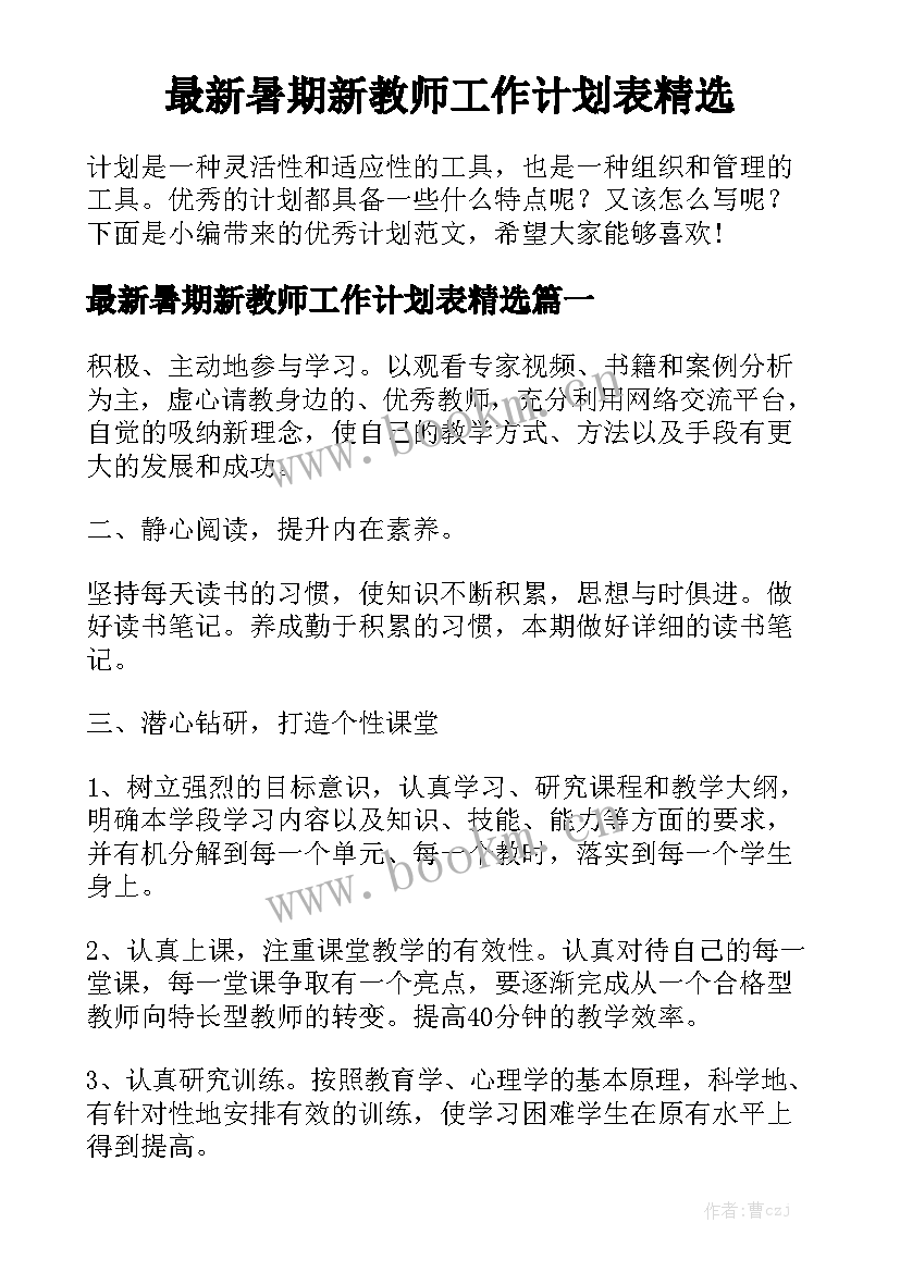 最新暑期新教师工作计划表精选