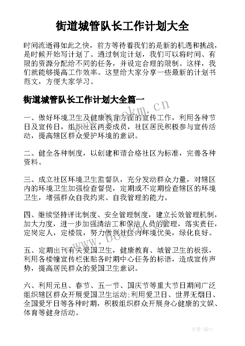 街道城管队长工作计划大全