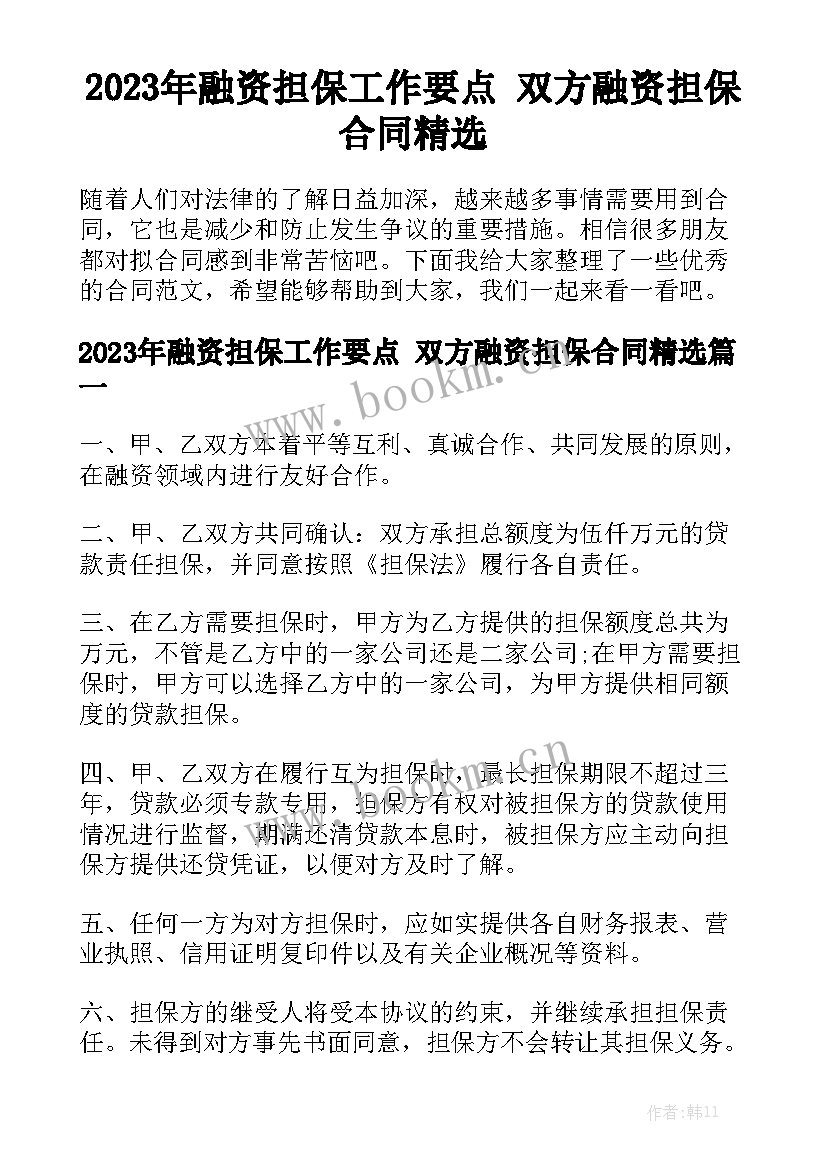 2023年融资担保工作要点 双方融资担保合同精选